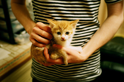 角斗场上的决胜者,德里赫特如何让曼城血拼中擒住利物浦