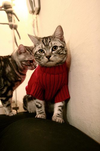 锡安独砍31+12统治攻防,新疆全程压制力克广厦取关键胜利