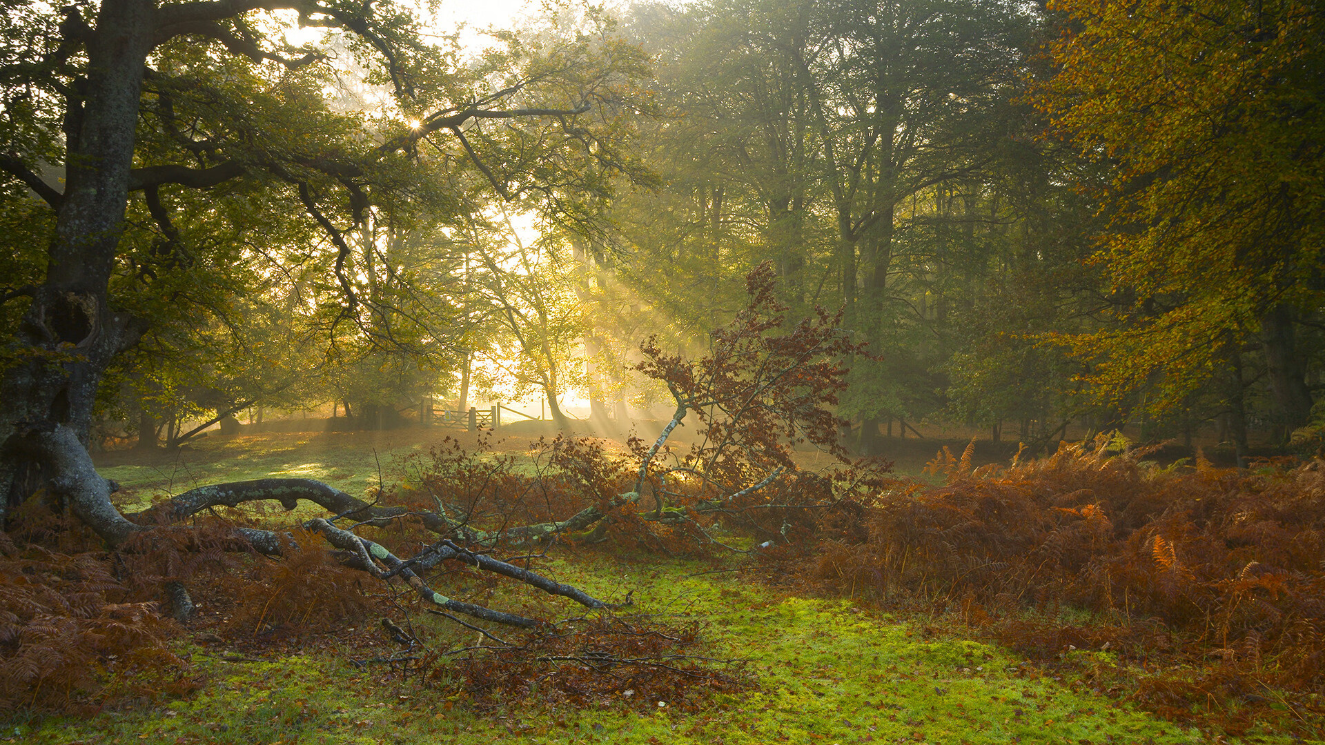当暮光升起,从马里青春风暴到莫德里奇时间掌控术