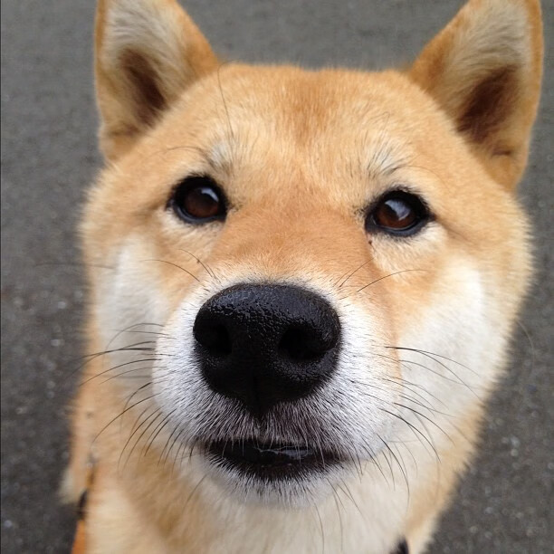 跨洋对决,詹姆斯碾压宿敌,马克西用魔术接管德比—今夜体坛属于接管者